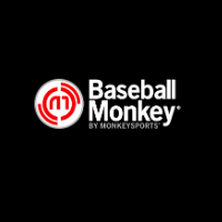 Baseball Monkey
